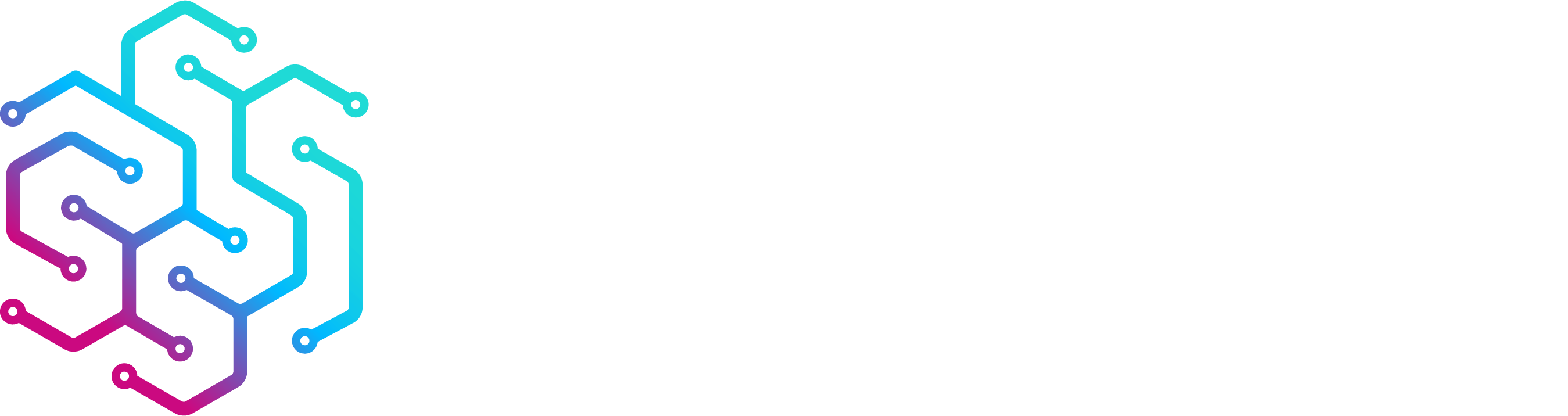 Logo Gradient -White